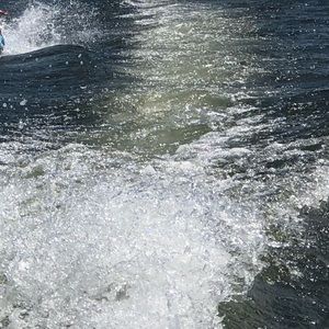 Meet your Posher, Mariana